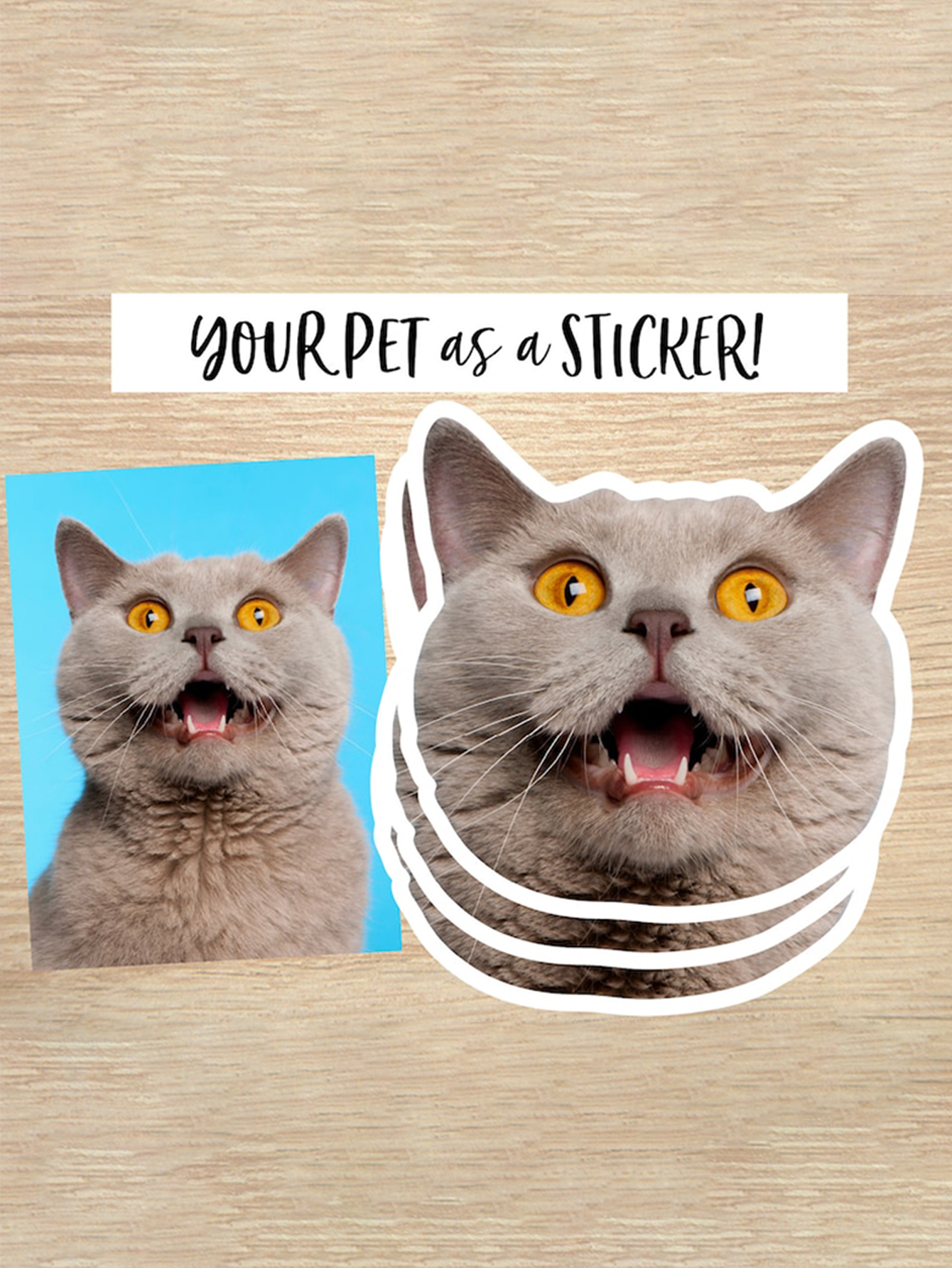 Custom Personalized Pet Photo Stickers